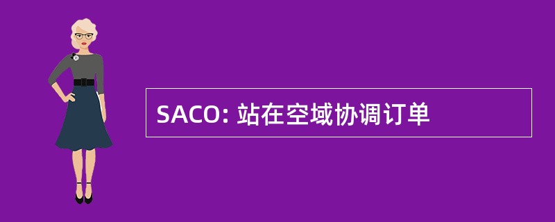 SACO: 站在空域协调订单