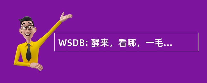 WSDB: 醒来，看哪，一毛钱、 Bryniczka、 天和绽放