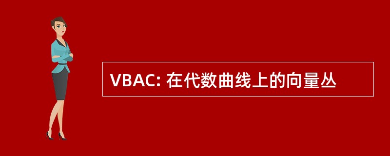 VBAC: 在代数曲线上的向量丛