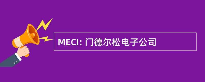 MECI: 门德尔松电子公司