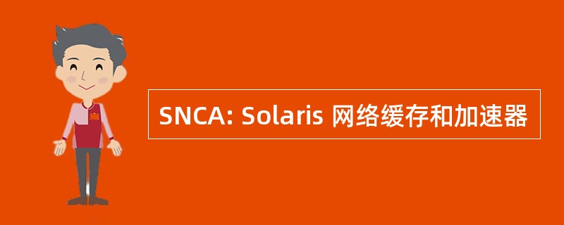 SNCA: Solaris 网络缓存和加速器