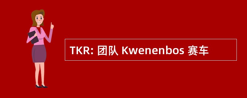 TKR: 团队 Kwenenbos 赛车