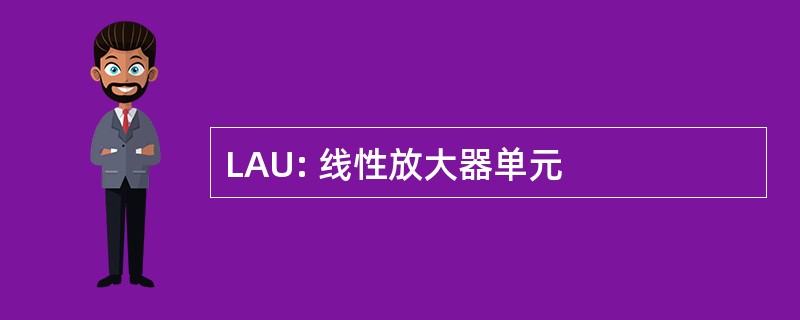 LAU: 线性放大器单元