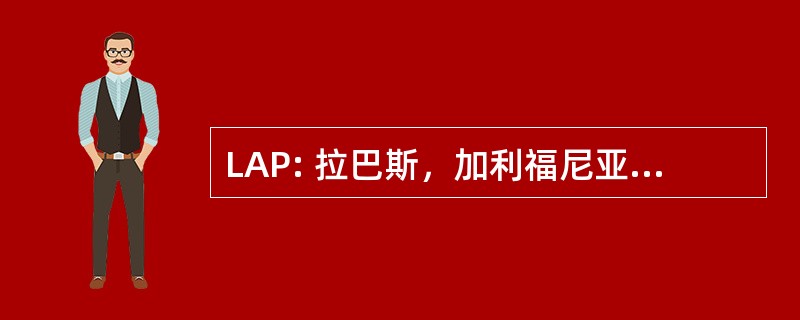 LAP: 拉巴斯，加利福尼亚苏尔，墨西哥-阿尔机场一般马奎兹德莱昂