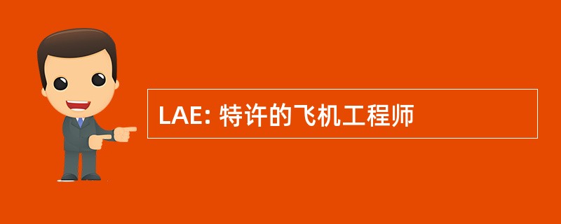 LAE: 特许的飞机工程师