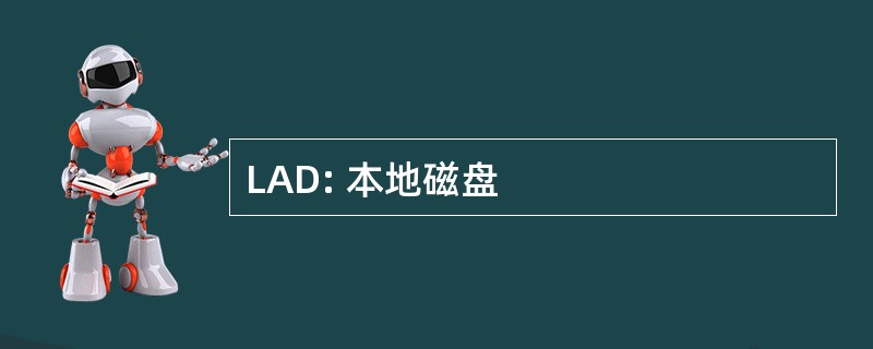 LAD: 本地磁盘