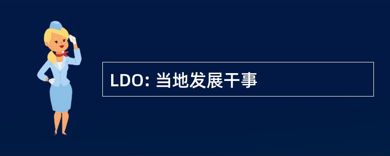 LDO: 当地发展干事