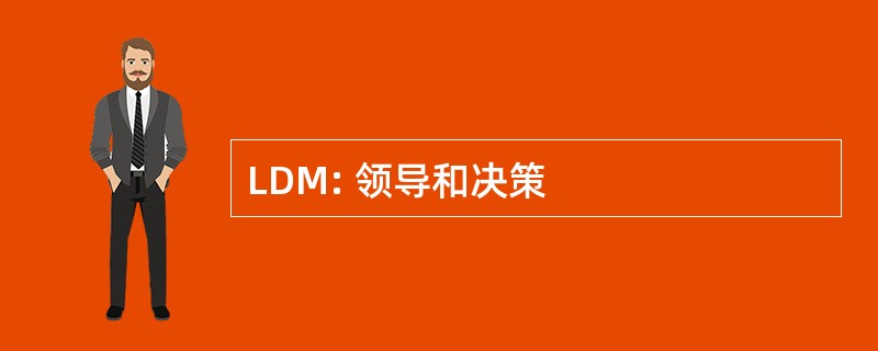 LDM: 领导和决策