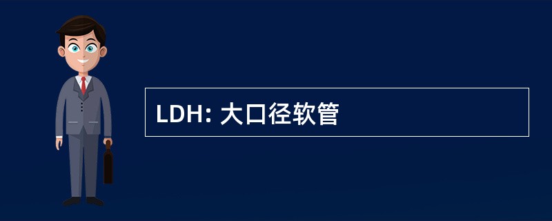 LDH: 大口径软管