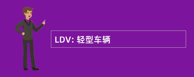 LDV: 轻型车辆